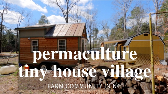 Tiny House Expedition Permaculture Tiny House Community Farm With Diy Tiny Homes,Sangria Recipe White Rum