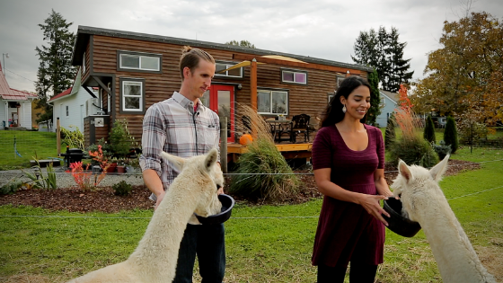 airbnb tiny house