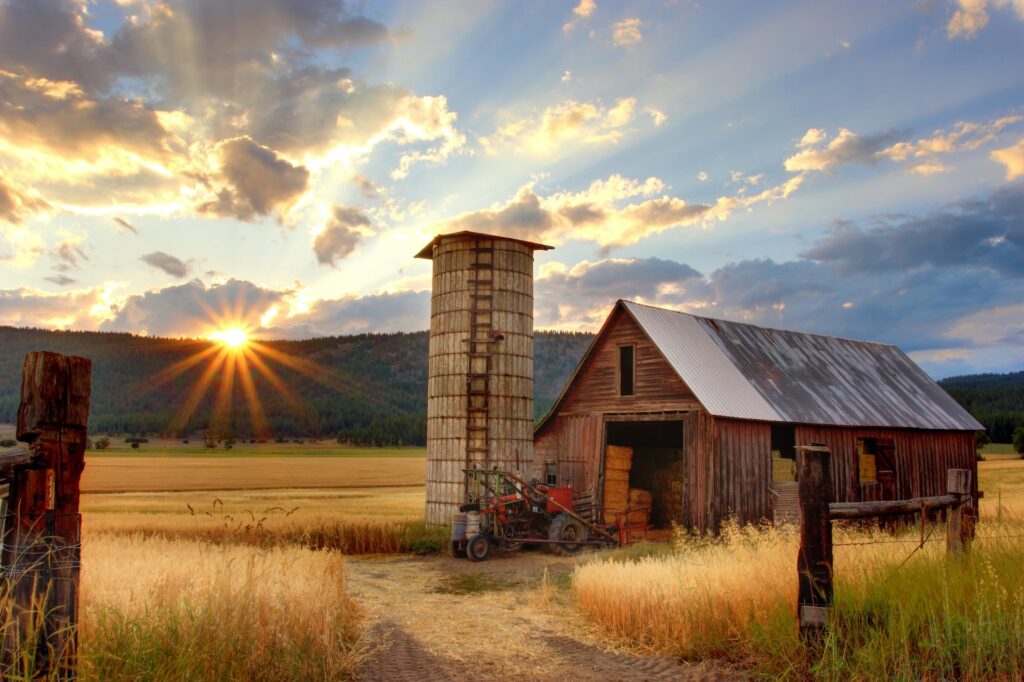 How to Turn a Barn into a Tiny Home