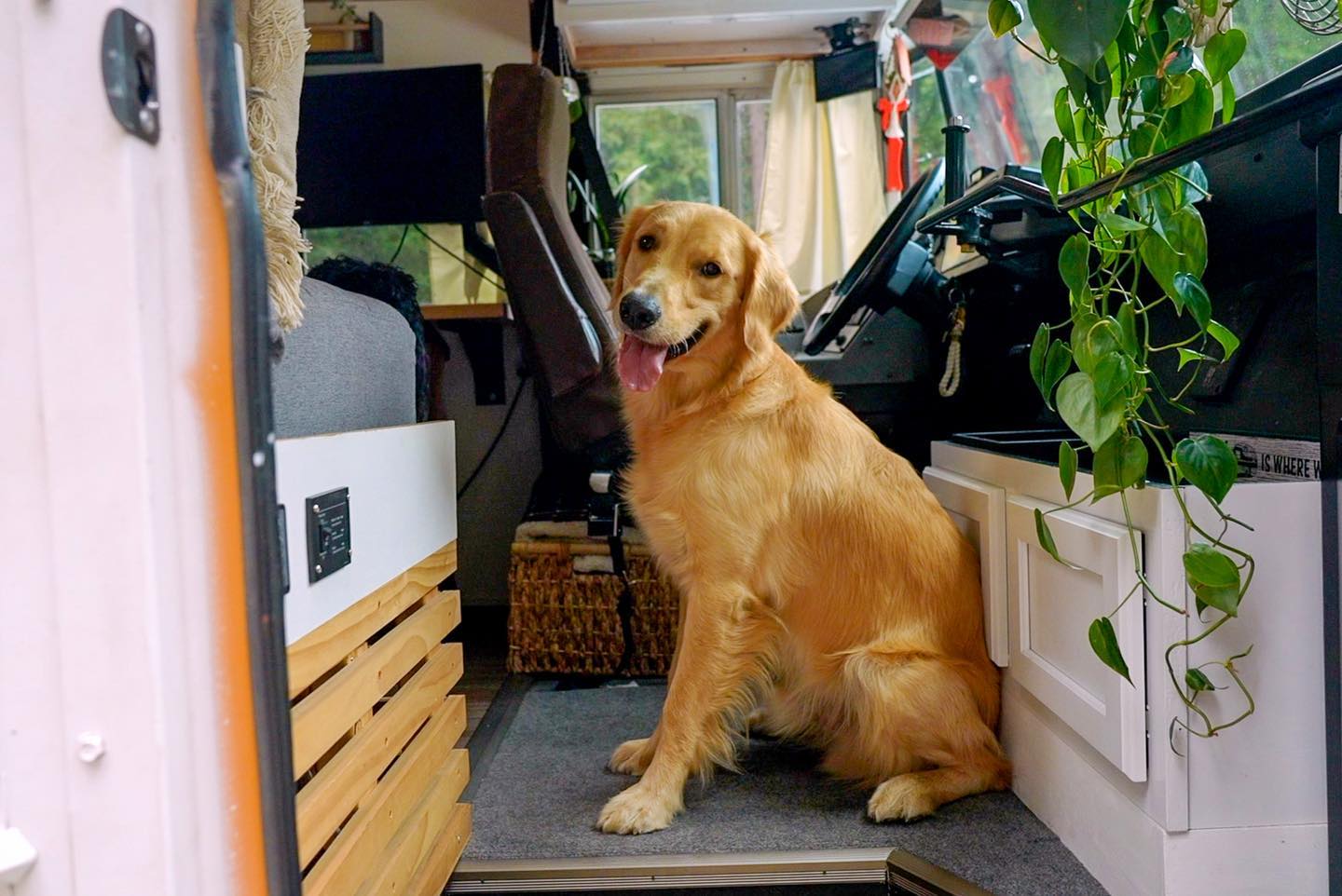 Tiny House Expedition - Digital Nomad's Off Grid Bus Conversion Tiny Home - Luxury Off Grid Bus Conversion Services Luxury