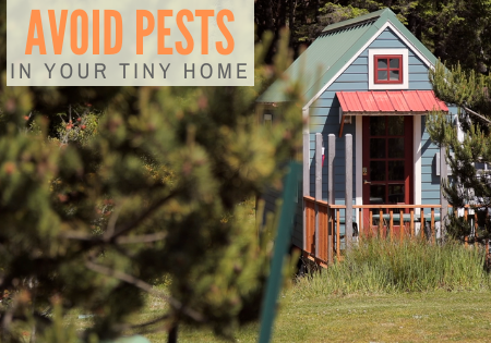 Avoid Common Creepy Bugs in Your Tiny Home