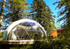 Blog Banner_dome home
