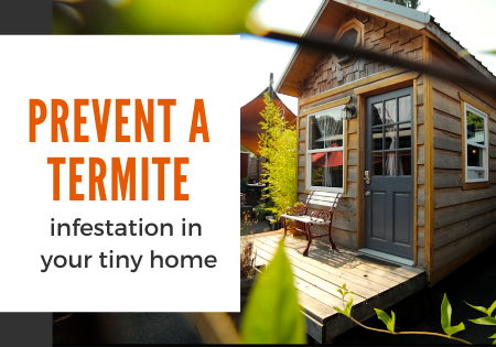 prevent termites_tiny home living