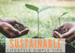 sustainable lifestyle