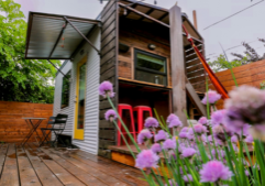 tiny home curb appeal_Blog Banner (1)