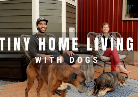tiny house living with dogs